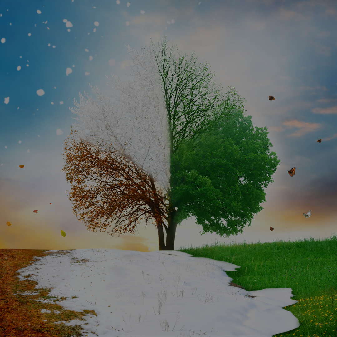 Two myths worth questioning