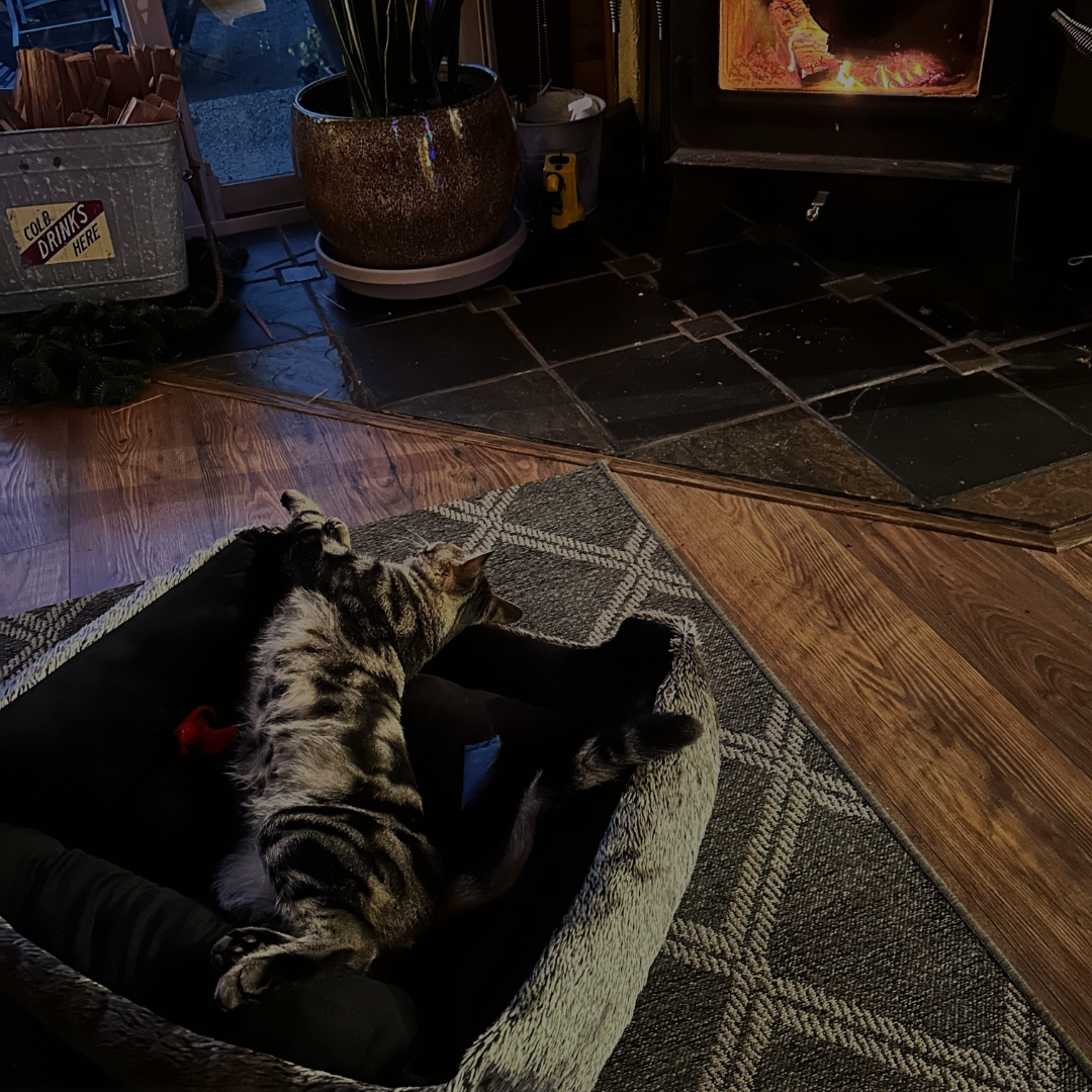 What new beginnings actually feel like