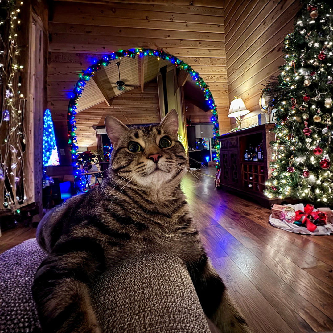 The space between the years