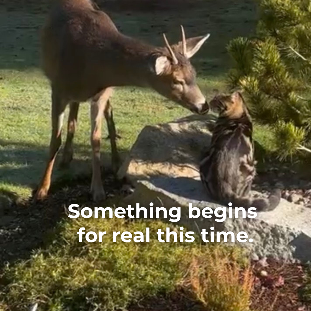 Once the change happens, the hard part is over. (Or is it?)