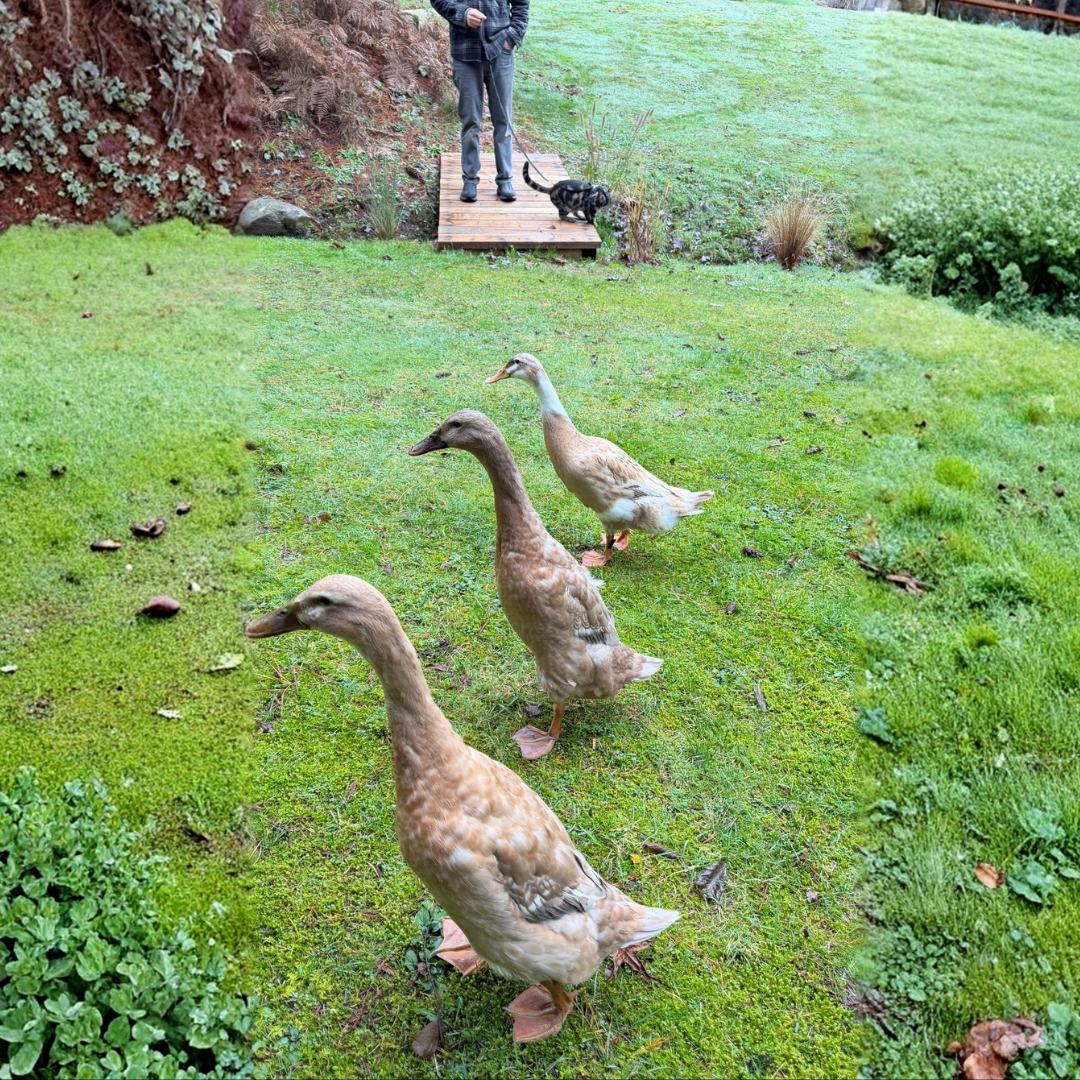 You don't have to feel ready to begin