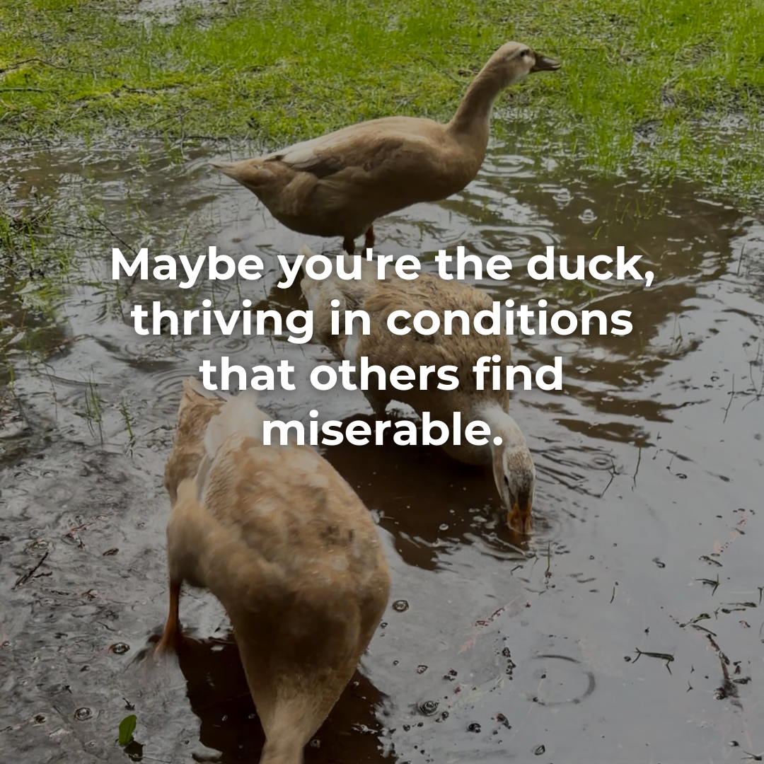 Same weather; completely different experience